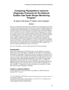 Phytophthora ramorum Diagnostic Protocols for the National Sudden Oak Death Stream Monitoring Program