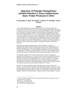 Phytophthora Sawn Timber Produced in Chile  pinifolia