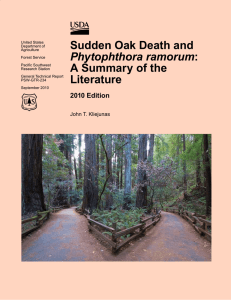 Sudden Oak Death and A Summary of the Literature Phytophthora ramorum