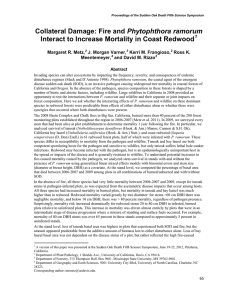 Phytophthora ramorum Interact to Increase Mortality in Coast Redwood  Margaret R. Metz,