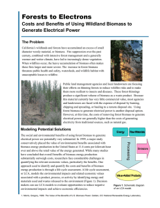 Forests to Electrons Costs and Benefits of Using Wildland Biomass to