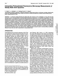 Interpreting  Photoactivated  Fluorescence  Microscopy  Measurements ... Steady-State  Actin  Dynamics