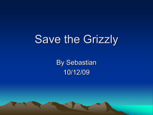 Save the Grizzly By Sebastian 10/12/09