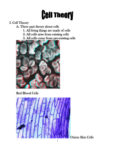 I. Cell Theory A. Three part theory about cells