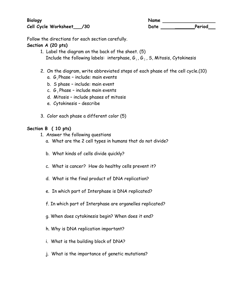 Biology Name Cell Cycle Worksheet___/25 For Cell Cycle Coloring Worksheet