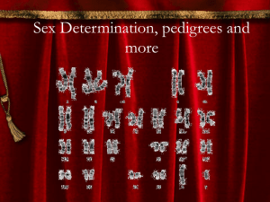 Sex Determination, pedigrees and more