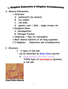 A. General Information Structure: 1.