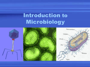 Introduction Microbiology to