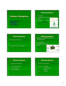Cellular Energetics Photosynthesis Photosynthesis,