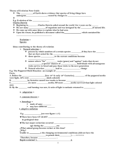 A Peppered Moth Activity