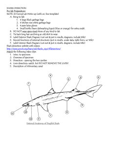 SHARK DISSECTION Pre-lab Preparations NOTE: ☼ Formal Lab Write-up (with on-line template)