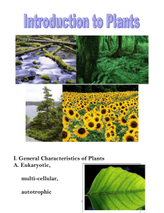 I. General Characteristics of Plants A. Eukaryotic, multi-cellular,