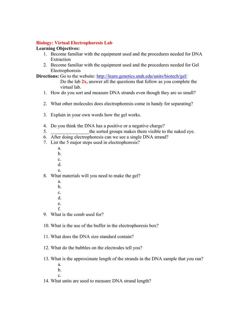 Answer Key Gel Electrophoresis Virtual Lab Answers