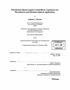 Polysiloxane-Based  Liquid  Crystal Block Copolymers for