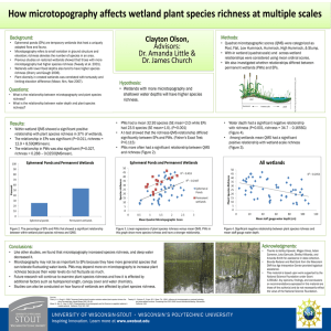 How microtopography affects wetland plant species richness at multiple scales Advisors: Methods: