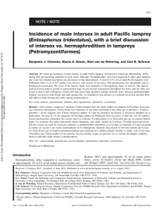 Incidence of male intersex in adult Pacific lamprey