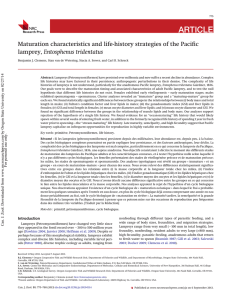 ARTICLE Maturation characteristics and life-history strategies of the Paciﬁc Entosphenus tridentatus