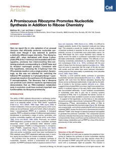 Article A Promiscuous Ribozyme Promotes Nucleotide Synthesis in Addition to Ribose Chemistry