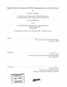 Single  Molecule  Analysis  of  DNA ...