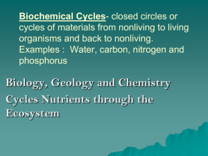Biochemical Cycles cycles of materials from nonliving to living
