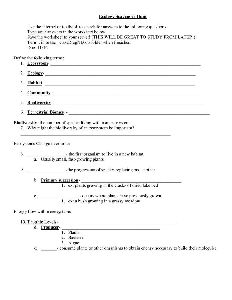 6 3 Biodiversity Worksheet Answers