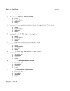 Intro. to Plant Quiz Page 1