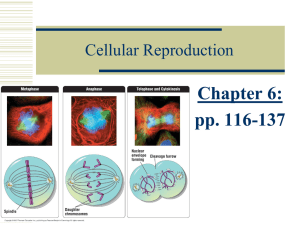 Chapter 6: pp. 116-137 Cellular Reproduction