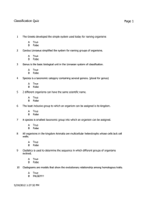 Classification Quiz Page 1