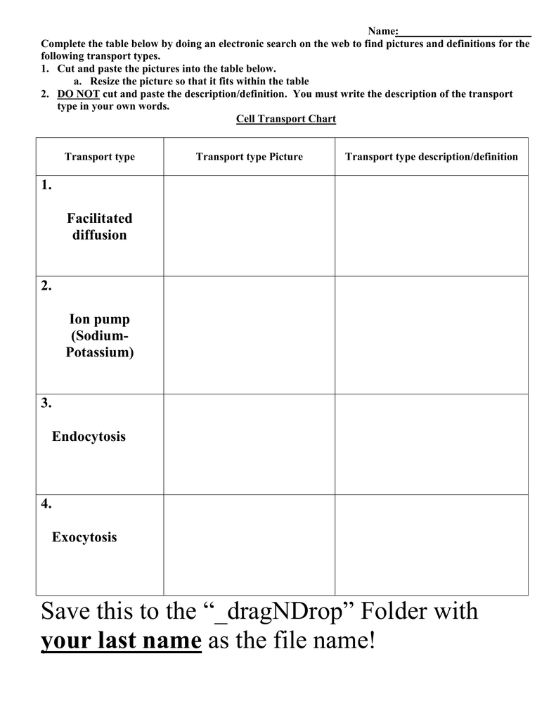 Cell Transport Chart