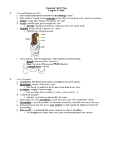 Forensics Unit 2 Notes Chapter 5 – Hair I.
