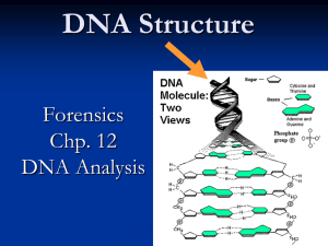 DNA Structure Forensics Chp. 12 DNA Analysis