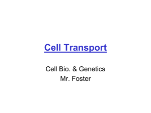 Cell Transport Cell Bio. &amp; Genetics Mr. Foster