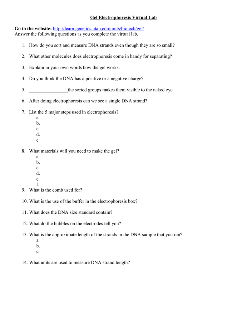 Gel Electrophoresis Virtual Lab Go to the website: Throughout Gel Electrophoresis Worksheet Answers