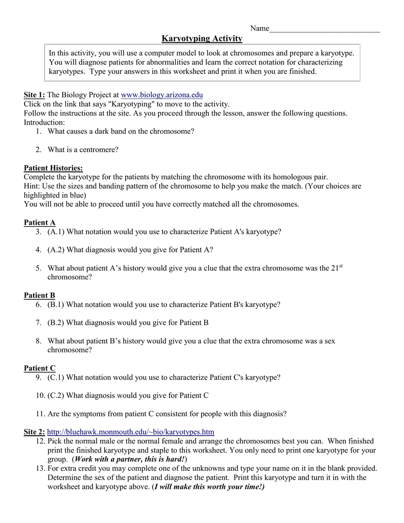 Karyotyping Activity Pertaining To Biology Karyotype  Worksheet Answers Key