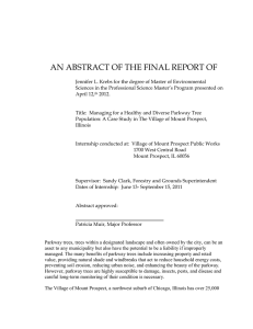 AN ABSTRACT OF THE FINAL REPORT OF