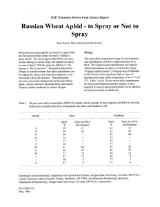 to Spray or Not to Russian Wheat Aphid Spray -