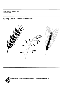 &lt;5 Spring Grain Varieties for 1996 OREGON STATE UNIVERSITY EXTENSION SERVICE