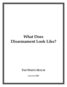 What Does Disarmament Look Like? T