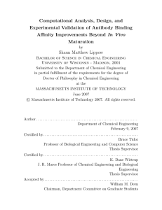 Computational Analysis, Design, and Experimental Validation of Antibody Binding In Vivo Maturation