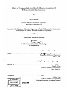 Effects  of Oxygen  on Embryonic  Stem Proliferation,... Differentiation  into Cardiomyocytes