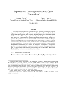 Expectations, Learning and Business Cycle Fluctuations