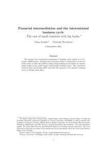 Financial intermediation and the international business cycle: