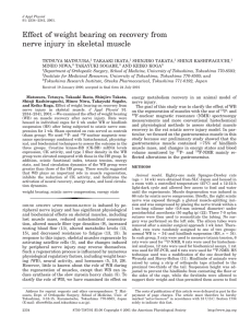 Effect of weight bearing on recovery from