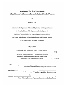 Regulation  of Tau Gene  Expression  by