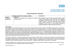 Clinical Audit Plan: 2010-2011  Essential standards of quality and safety Comments