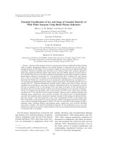 Potential Classification of Sex and Stage of Gonadal Maturity of