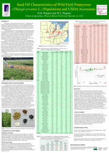 Seed Oil Characteristics of Wild Field Pennycress Thlaspi arvense