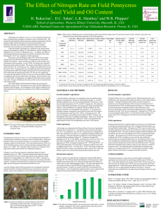 The Effect of Nitrogen Rate on Field Pennycress  H. Rukavina