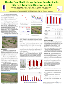 Planting Date, Herbicide, and Soybean Rotation Studies Thlaspi arvense Winthrop B. Phippen