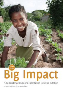 Big Impact Smallholder agriculture’s contribution to better nutrition Small Scale